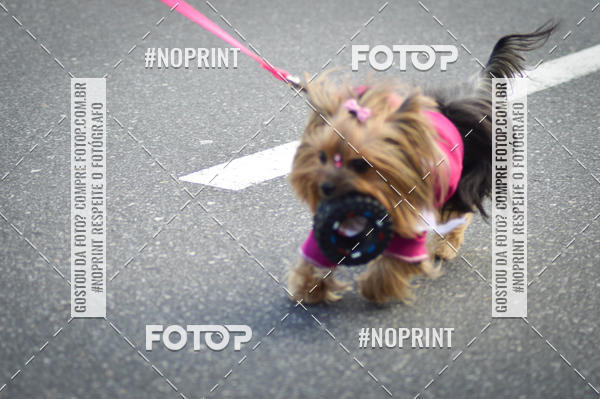 Buy your photos of the eventCorrida 6k Litoral & Co Veloz Dog Run on Fotop