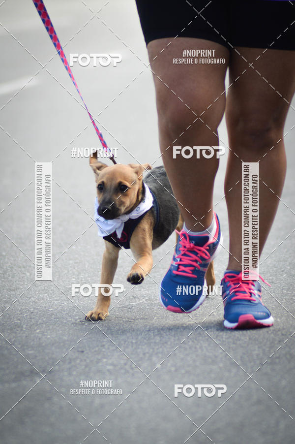 Buy your photos of the eventCorrida 6k Litoral & Co Veloz Dog Run on Fotop