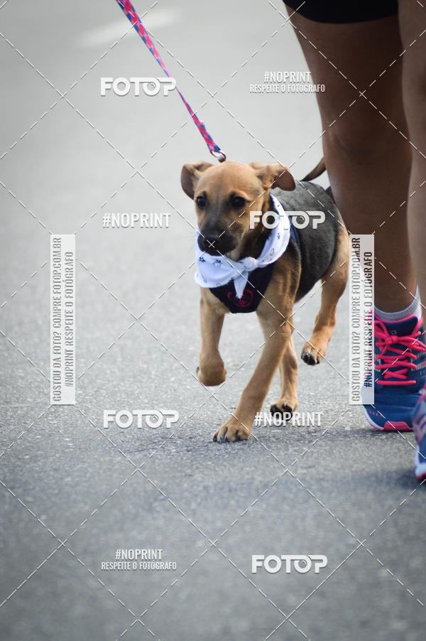 Buy your photos of the eventCorrida 6k Litoral & Co Veloz Dog Run on Fotop