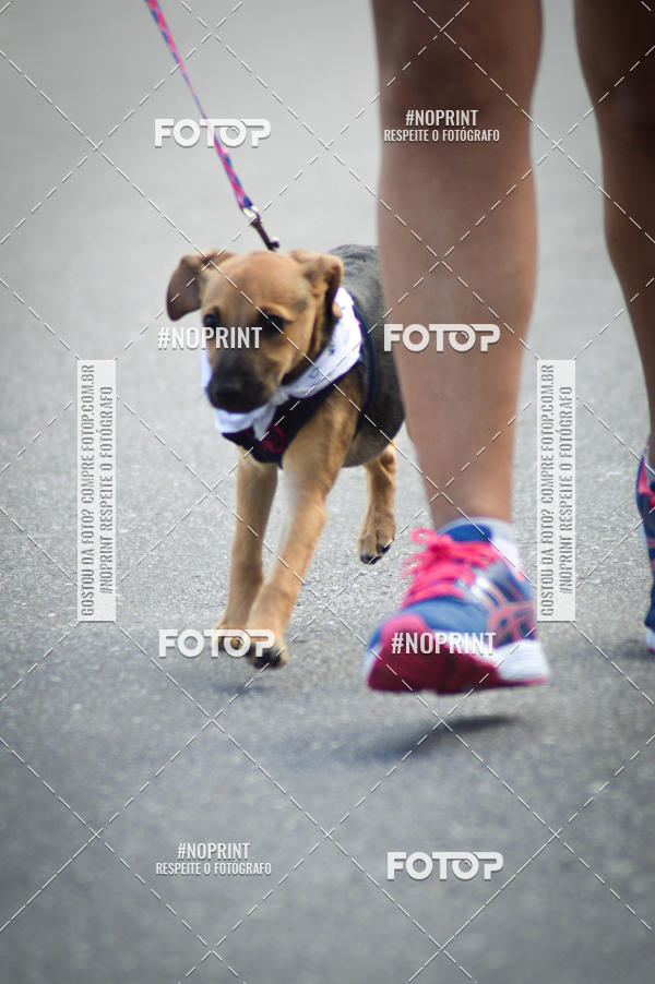Buy your photos of the eventCorrida 6k Litoral & Co Veloz Dog Run on Fotop
