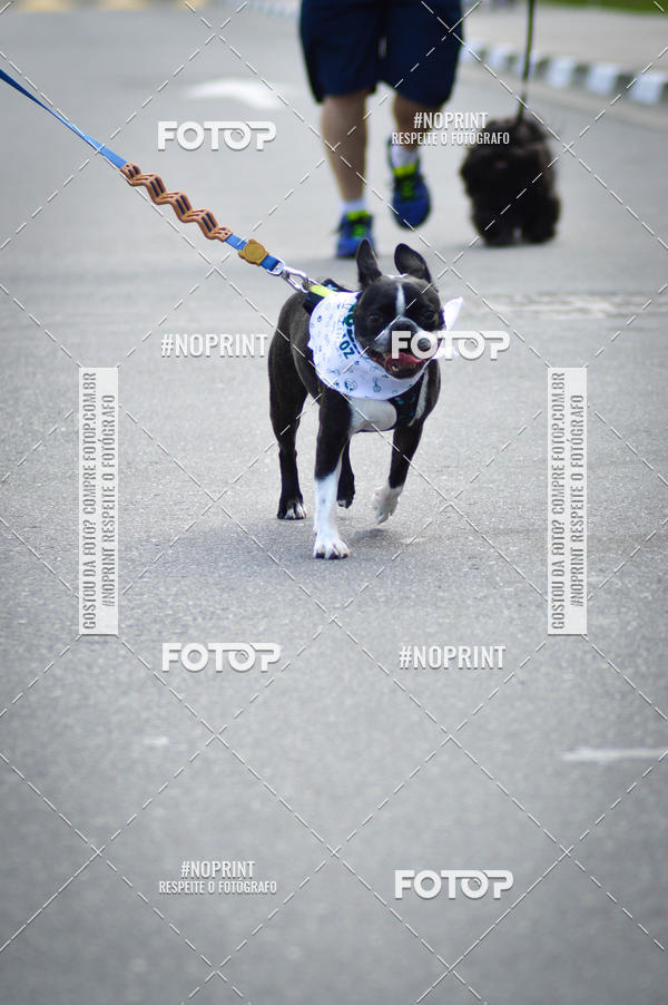 Buy your photos of the eventCorrida 6k Litoral & Co Veloz Dog Run on Fotop