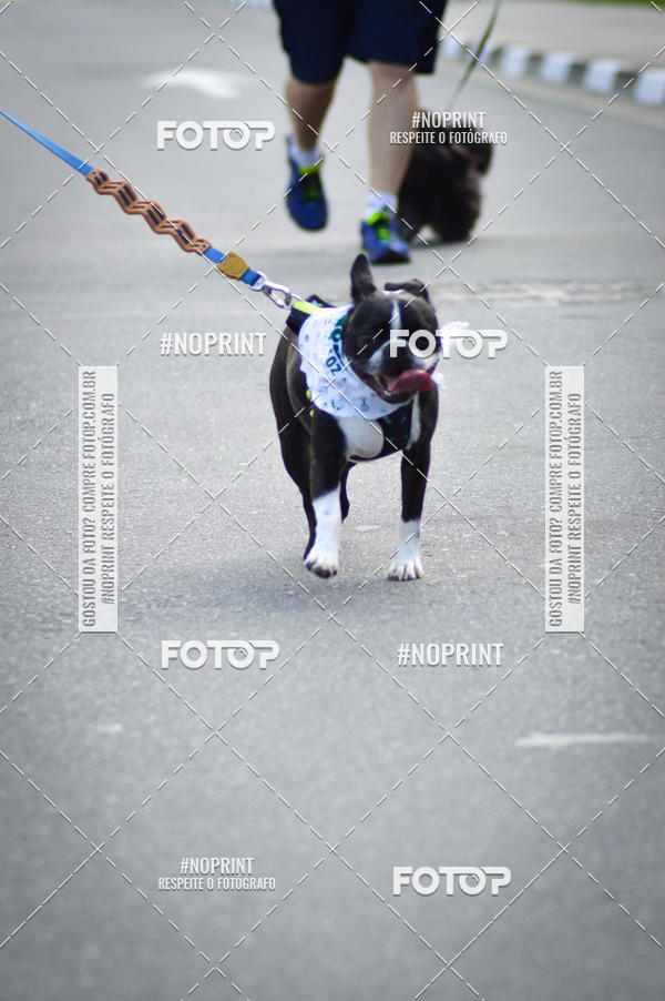 Buy your photos of the eventCorrida 6k Litoral & Co Veloz Dog Run on Fotop