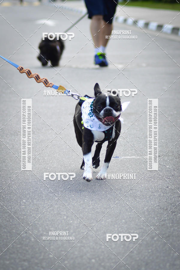 Buy your photos of the eventCorrida 6k Litoral & Co Veloz Dog Run on Fotop