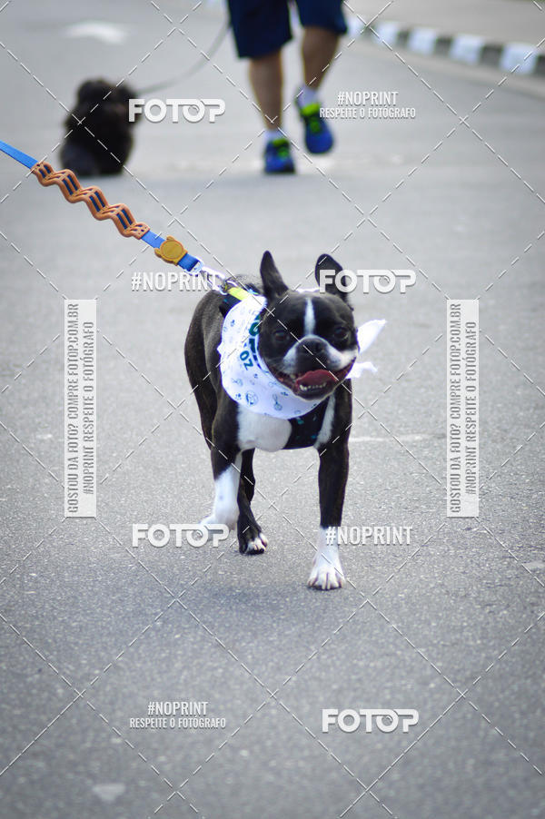 Buy your photos of the eventCorrida 6k Litoral & Co Veloz Dog Run on Fotop