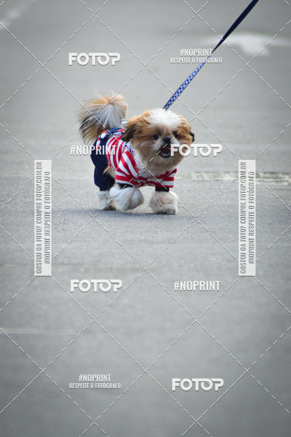 Buy your photos of the eventCorrida 6k Litoral & Co Veloz Dog Run on Fotop