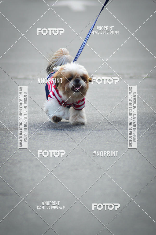 Buy your photos of the eventCorrida 6k Litoral & Co Veloz Dog Run on Fotop