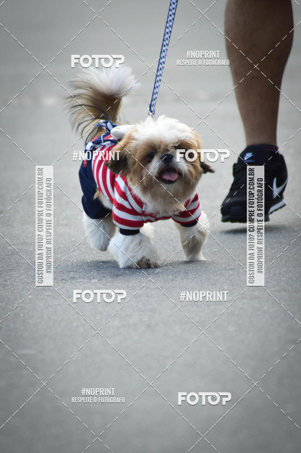 Buy your photos of the eventCorrida 6k Litoral & Co Veloz Dog Run on Fotop
