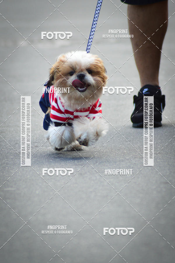 Buy your photos of the eventCorrida 6k Litoral & Co Veloz Dog Run on Fotop