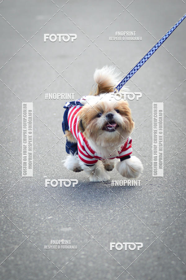 Buy your photos of the eventCorrida 6k Litoral & Co Veloz Dog Run on Fotop