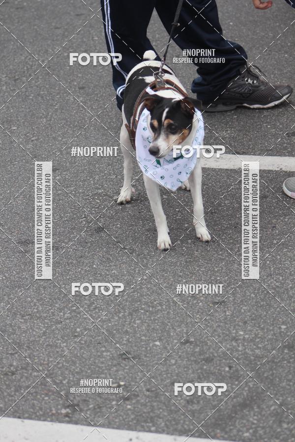Buy your photos of the eventCorrida 6k Litoral & Co Veloz Dog Run on Fotop