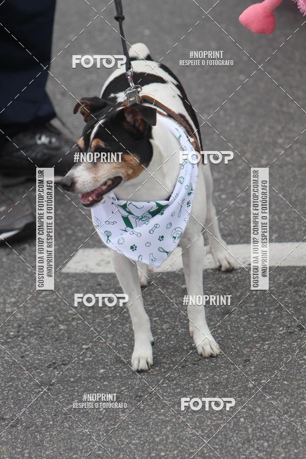 Buy your photos of the eventCorrida 6k Litoral & Co Veloz Dog Run on Fotop