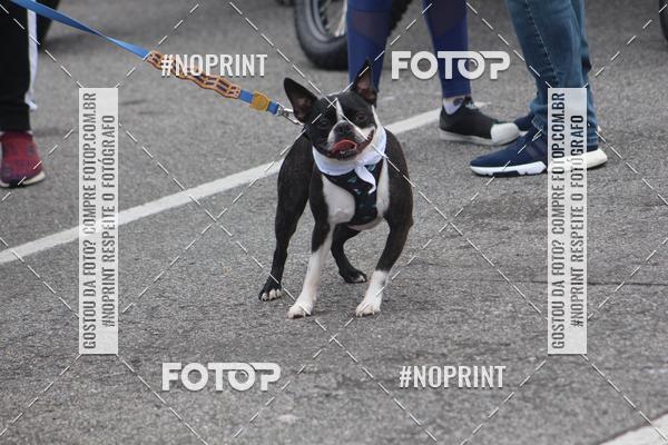 Buy your photos of the eventCorrida 6k Litoral & Co Veloz Dog Run on Fotop