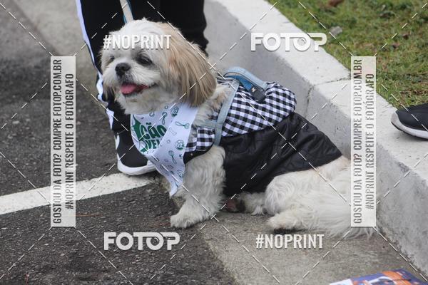 Buy your photos of the eventCorrida 6k Litoral & Co Veloz Dog Run on Fotop