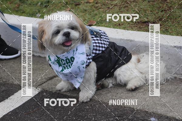 Buy your photos of the eventCorrida 6k Litoral & Co Veloz Dog Run on Fotop