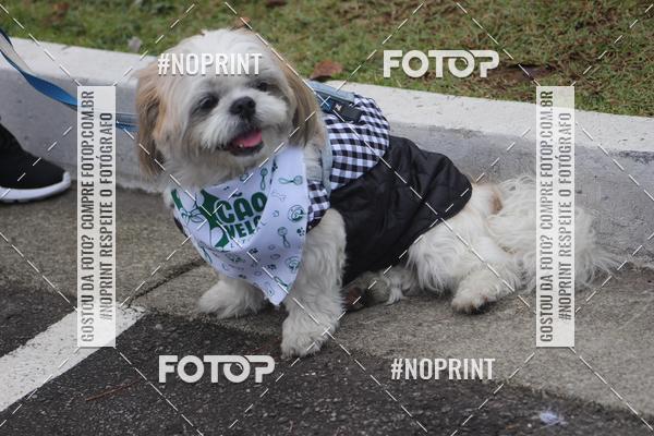 Buy your photos of the eventCorrida 6k Litoral & Co Veloz Dog Run on Fotop
