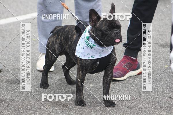 Buy your photos of the eventCorrida 6k Litoral & Co Veloz Dog Run on Fotop