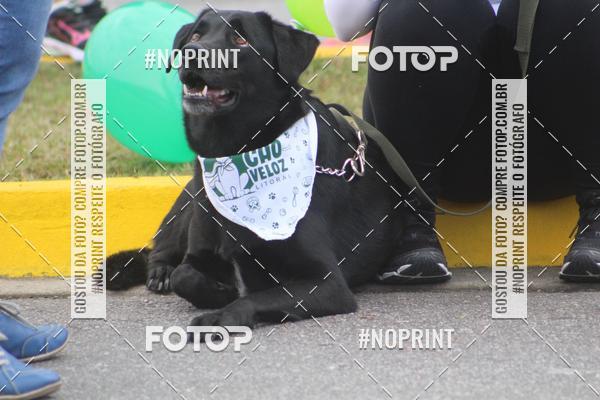 Buy your photos of the eventCorrida 6k Litoral & Co Veloz Dog Run on Fotop
