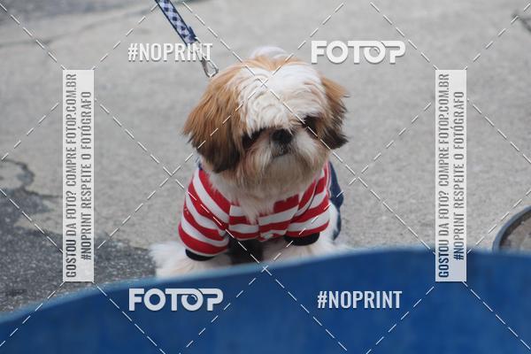 Buy your photos of the eventCorrida 6k Litoral & Co Veloz Dog Run on Fotop
