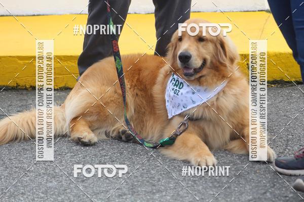 Buy your photos of the eventCorrida 6k Litoral & Co Veloz Dog Run on Fotop