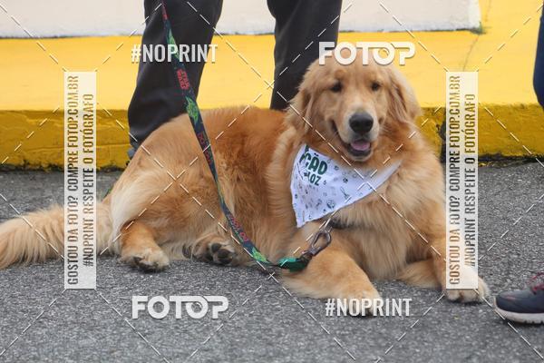 Buy your photos of the eventCorrida 6k Litoral & Co Veloz Dog Run on Fotop