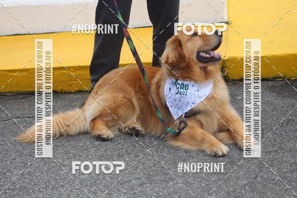 Buy your photos of the eventCorrida 6k Litoral & Co Veloz Dog Run on Fotop