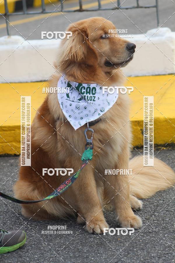 Buy your photos of the eventCorrida 6k Litoral & Co Veloz Dog Run on Fotop