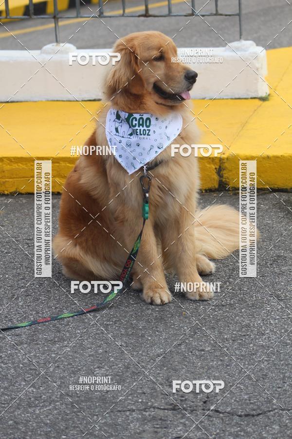 Buy your photos of the eventCorrida 6k Litoral & Co Veloz Dog Run on Fotop