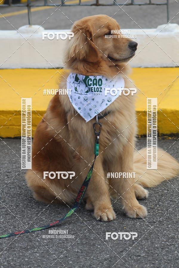 Buy your photos of the eventCorrida 6k Litoral & Co Veloz Dog Run on Fotop