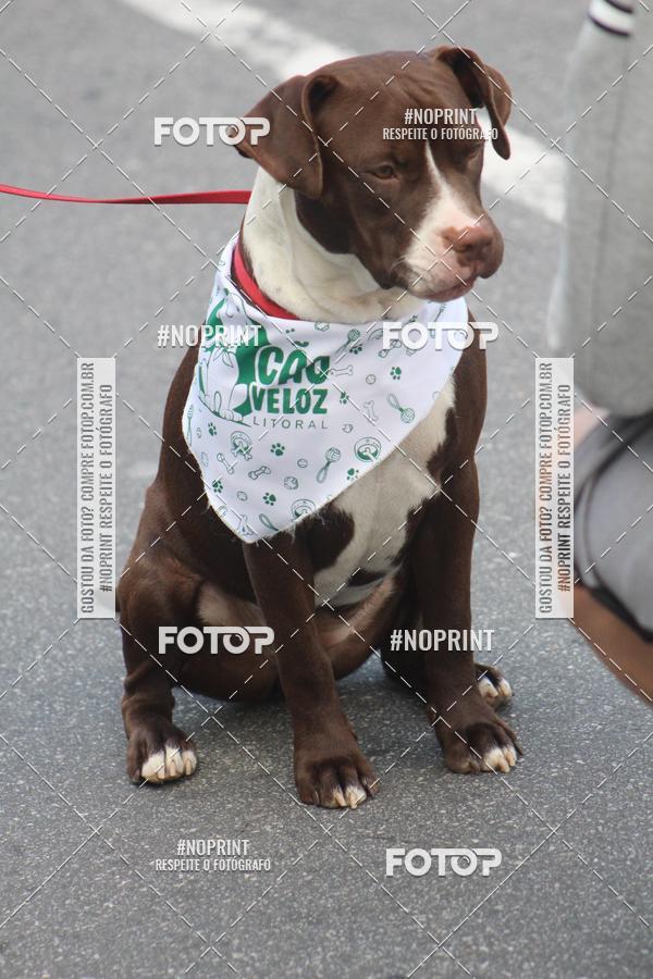 Buy your photos of the eventCorrida 6k Litoral & Co Veloz Dog Run on Fotop
