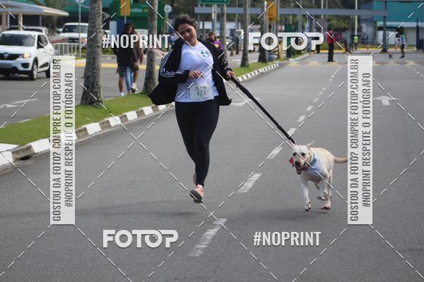 Buy your photos of the eventCorrida 6k Litoral & Co Veloz Dog Run on Fotop