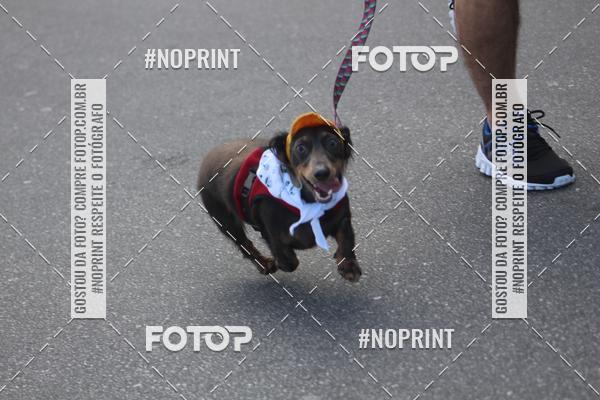Buy your photos of the eventCorrida 6k Litoral & Co Veloz Dog Run on Fotop