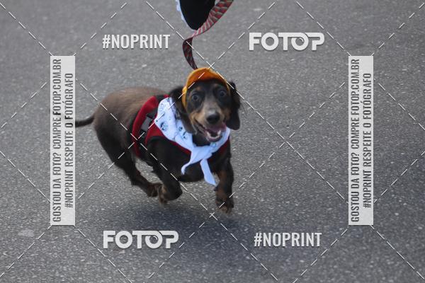 Buy your photos of the eventCorrida 6k Litoral & Co Veloz Dog Run on Fotop