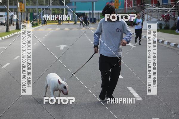 Buy your photos of the eventCorrida 6k Litoral & Co Veloz Dog Run on Fotop