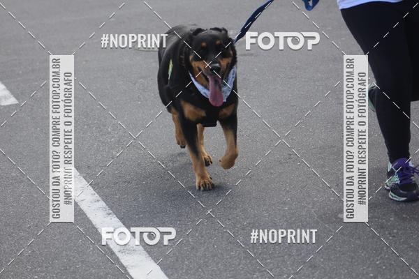Buy your photos of the eventCorrida 6k Litoral & Co Veloz Dog Run on Fotop