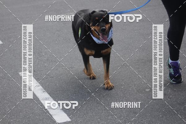 Buy your photos of the eventCorrida 6k Litoral & Co Veloz Dog Run on Fotop
