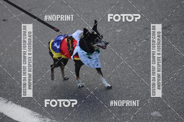 Buy your photos of the eventCorrida 6k Litoral & Co Veloz Dog Run on Fotop