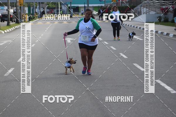 Buy your photos of the eventCorrida 6k Litoral & Co Veloz Dog Run on Fotop