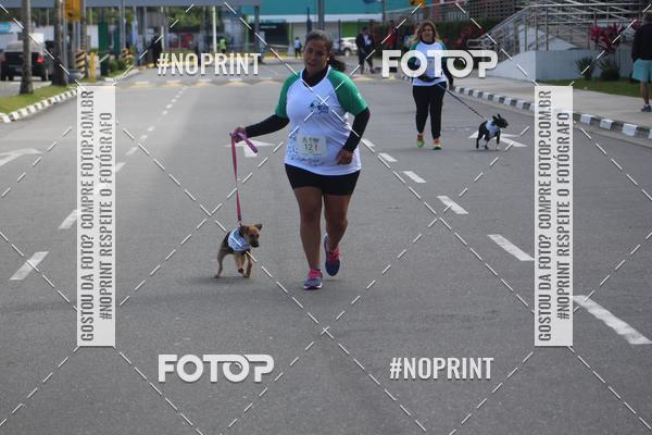 Buy your photos of the eventCorrida 6k Litoral & Co Veloz Dog Run on Fotop