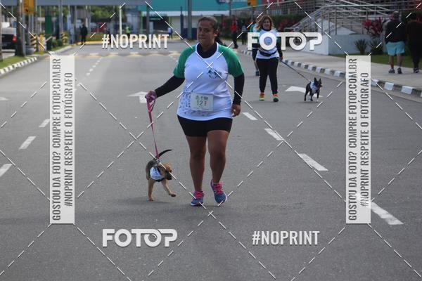 Buy your photos of the eventCorrida 6k Litoral & Co Veloz Dog Run on Fotop