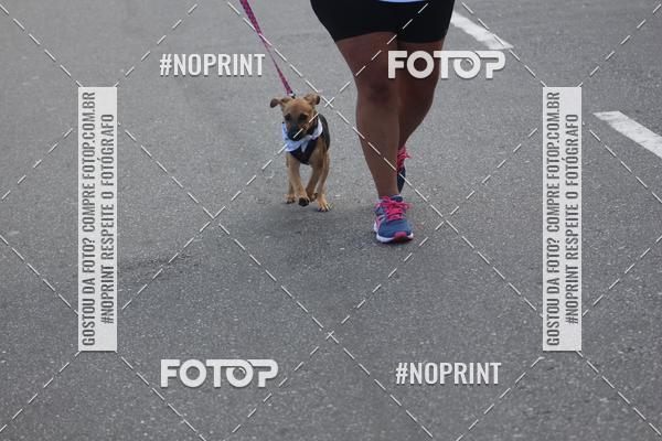 Buy your photos of the eventCorrida 6k Litoral & Co Veloz Dog Run on Fotop