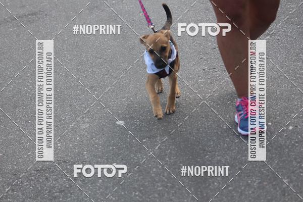 Buy your photos of the eventCorrida 6k Litoral & Co Veloz Dog Run on Fotop