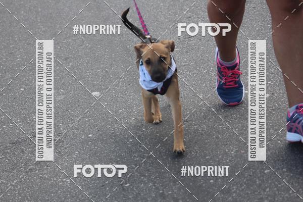 Buy your photos of the eventCorrida 6k Litoral & Co Veloz Dog Run on Fotop