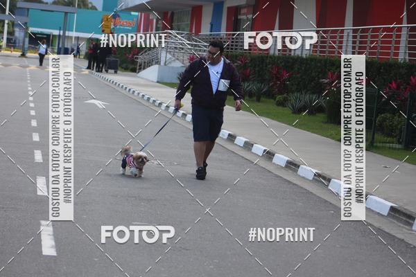 Buy your photos of the eventCorrida 6k Litoral & Co Veloz Dog Run on Fotop