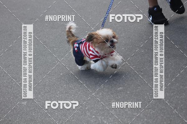 Buy your photos of the eventCorrida 6k Litoral & Co Veloz Dog Run on Fotop