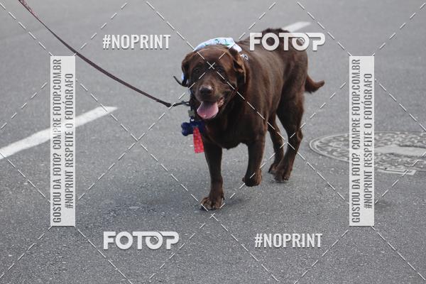 Buy your photos of the eventCorrida 6k Litoral & Co Veloz Dog Run on Fotop