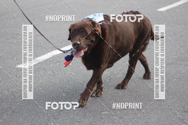 Buy your photos of the eventCorrida 6k Litoral & Co Veloz Dog Run on Fotop