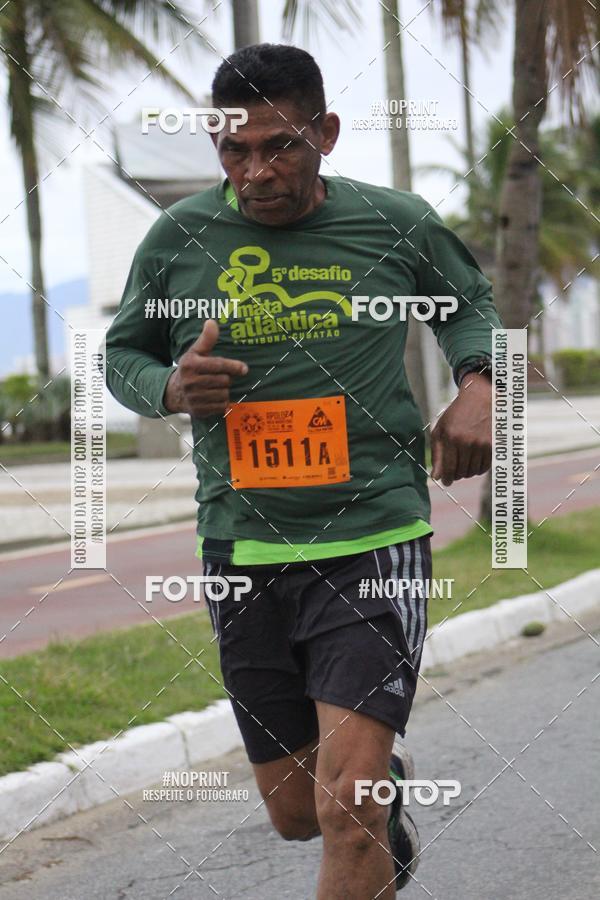 Buy your photos of the eventAPOLO 21 - MEIA MARATONA DE PRAIA GRANDE on Fotop