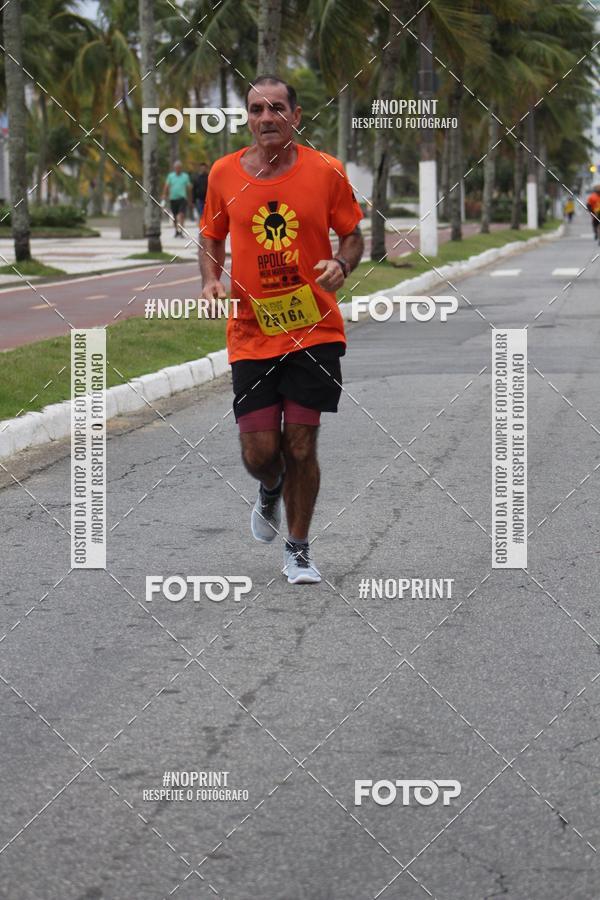 Buy your photos of the eventAPOLO 21 - MEIA MARATONA DE PRAIA GRANDE on Fotop