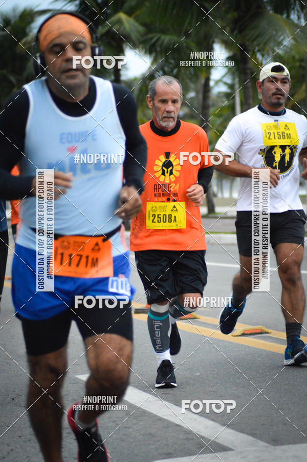 Buy your photos of the eventAPOLO 21 - MEIA MARATONA DE PRAIA GRANDE on Fotop