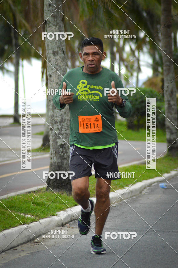 Buy your photos of the eventAPOLO 21 - MEIA MARATONA DE PRAIA GRANDE on Fotop